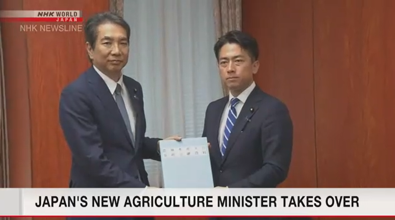 New Agriculture Minister Koizumi Pledges Swift Action on Rising Rice Prices