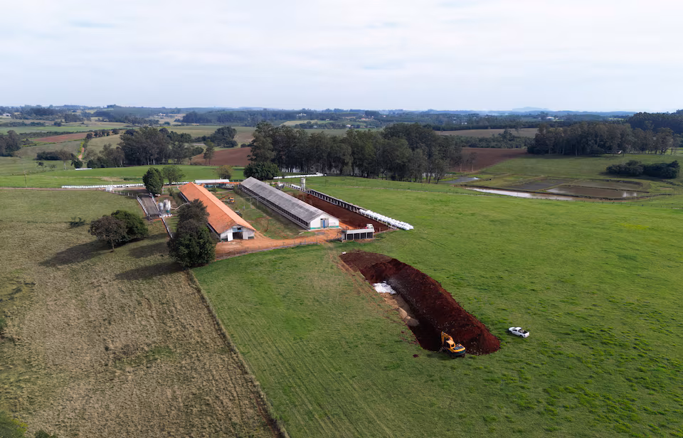 Brazil Increases Bird Flu Surveillance After Virus Found Near Commercial Poultry Farms