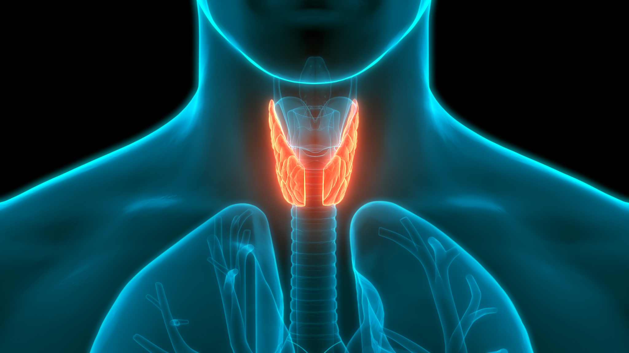 Thyroid Health Awareness Surges in China Amid Sharp Rise in Diagnoses