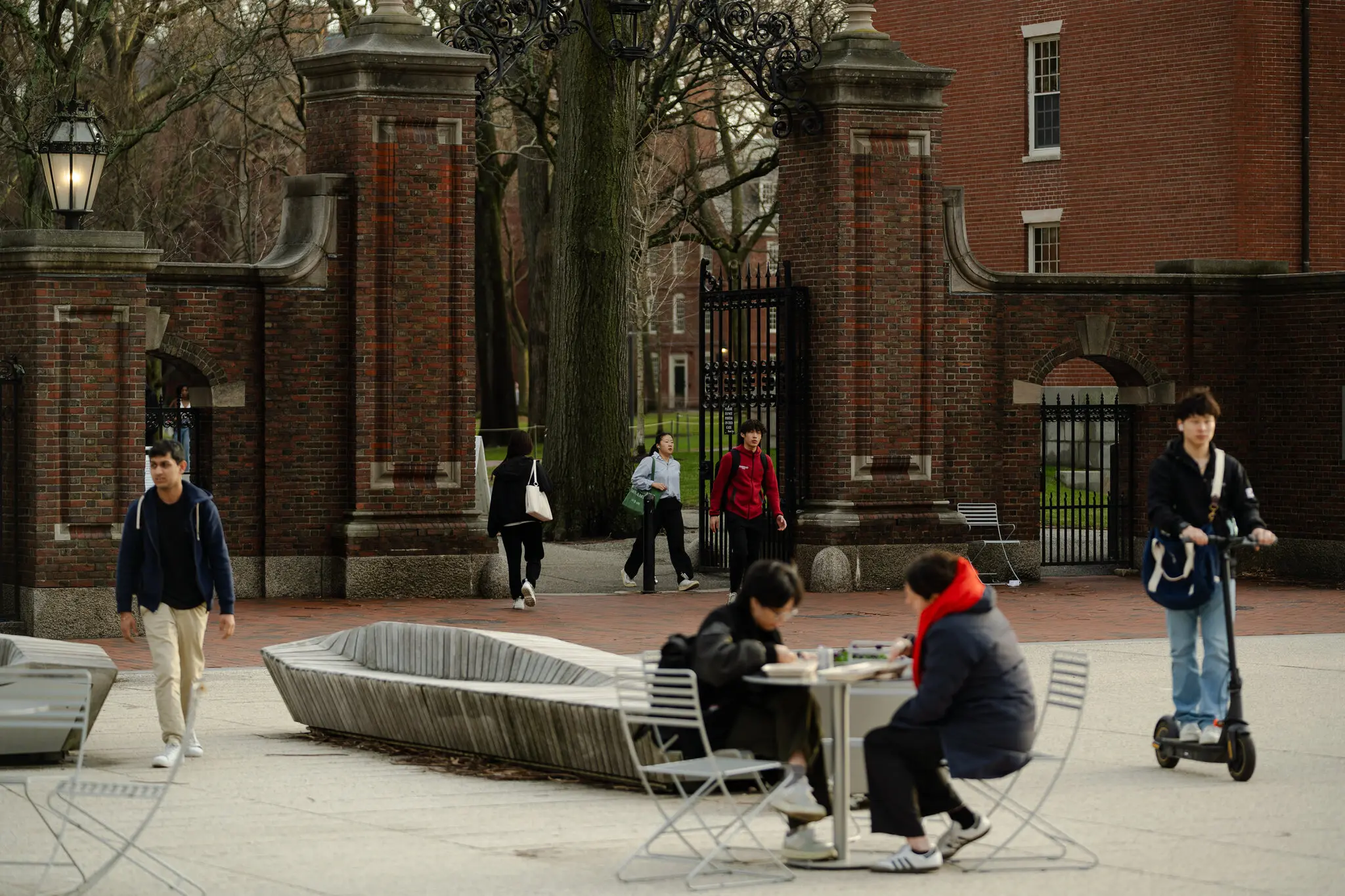 Harvard in China’s Crosshairs Amid Trump’s Return and Growing US-China Tensions