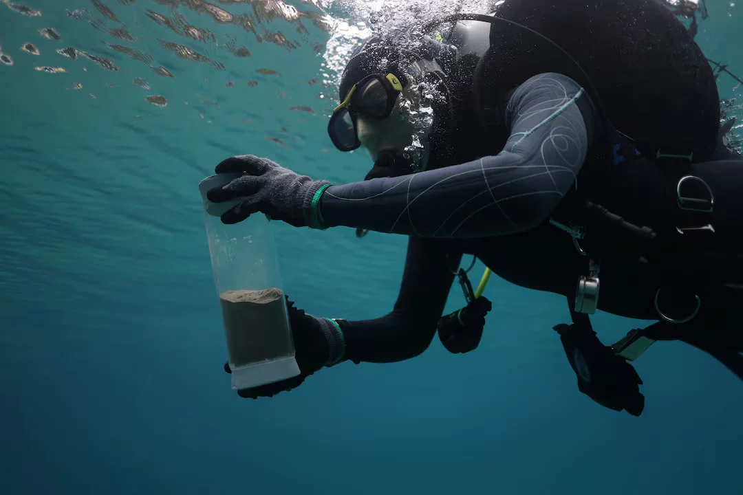 Alonissos Fights Back as Mediterranean Pollution Threatens Marine Life and Tourism