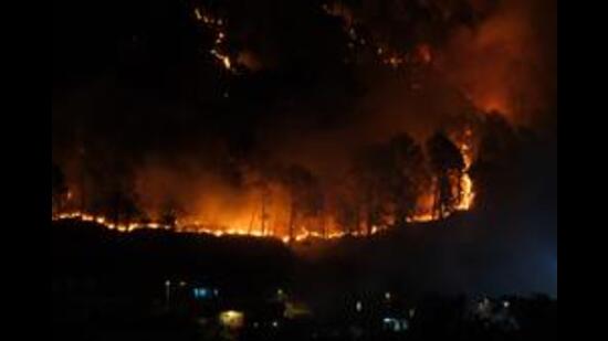 Forest Fire Erupts in Jammu’s Reasi District, Authorities Say Blaze Contained